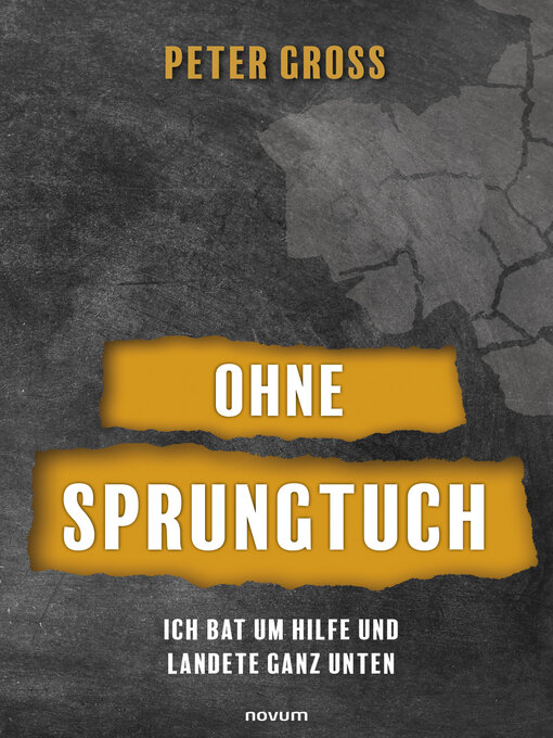 Title details for Ohne Sprungtuch by Peter Gross - Wait list